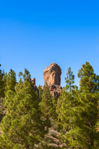 Dramatic volcanic landscape with Roque Bentayga and Roque Nublo illuminated by sunset in Tejeda caldera, Canary Islands