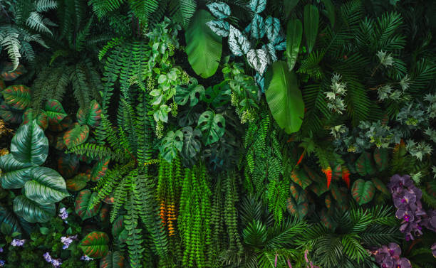 istock Green leaves on wall for interior decoration. nature green leaf 1949914609