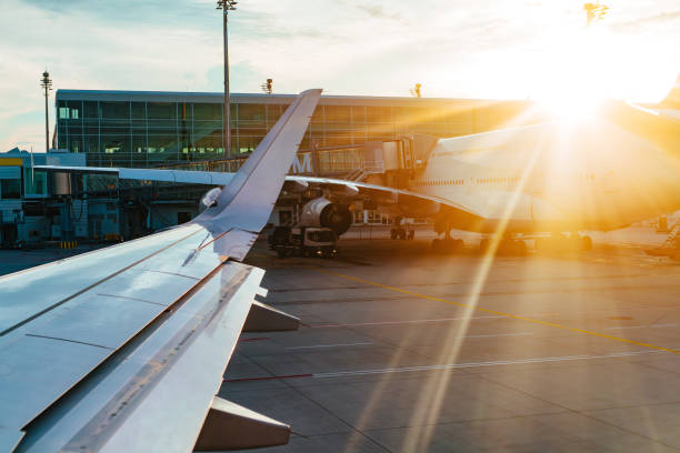 istock Airplane in landing runway at warm sunset light 1949915665