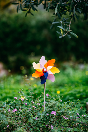 Colorful Pinwheel Toy in the Garden