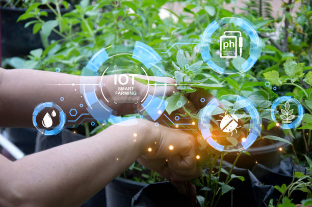 istock The concept of using AI and smart farming 1949956101