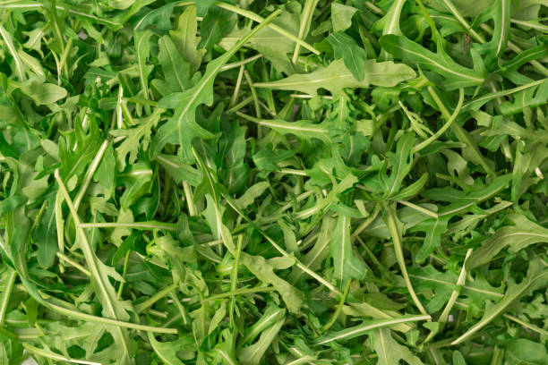 istock Fresh leaves of arugula as a background. 1949959405