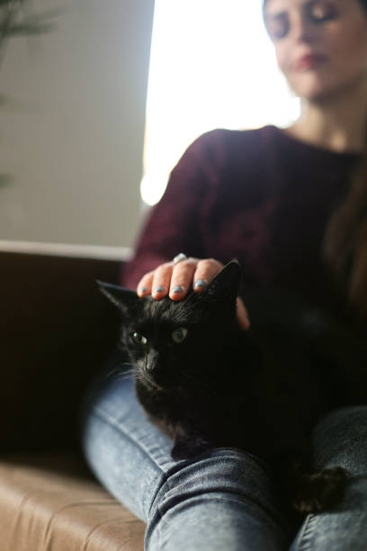 istock Woman and her cat 1949962115