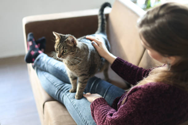 istock Woman having fun with her cat 1949962627