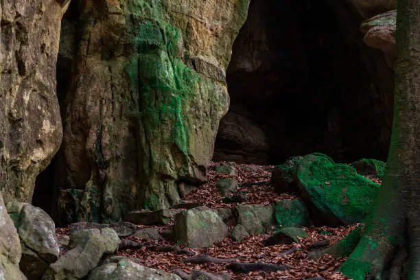 Photo of cave entrance in a forest. rocky cave path. rocky path in autumn.