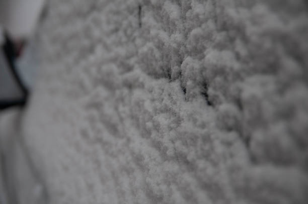 Awesome Plock winter  photos