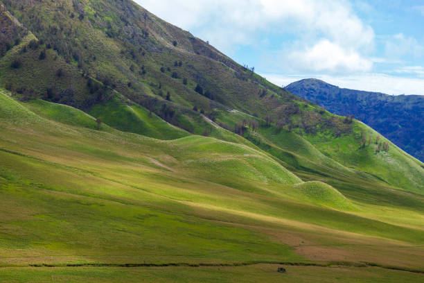 istock Landscape of Mount Bromo volcano in Bromo Tengger Semeru National Park, Java, Indonesia 1950018064