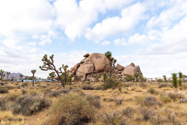istock Rock Formation in the Desert 1950034262