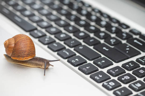 istock A snail on a laptop with its antennae out. 1950039994