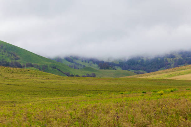 istock Landscape of Mount Bromo volcano in Bromo Tengger Semeru National Park, Java, Indonesia 1950044106