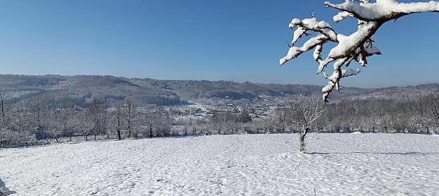 Guberschwihr, Alsatian village at the heart of the vineyard