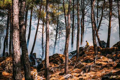 Volunteers Responding to Wild Fire