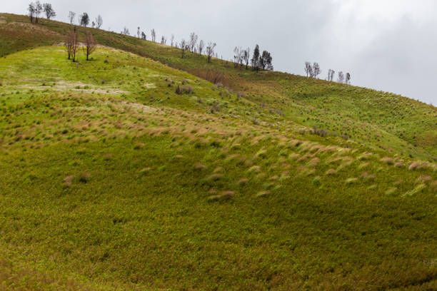 Landscape of green hills and village in a cloudy day. Mount Bromo is a volcano in Bromo Tengger Semeru National Park, East Java, Indonesia