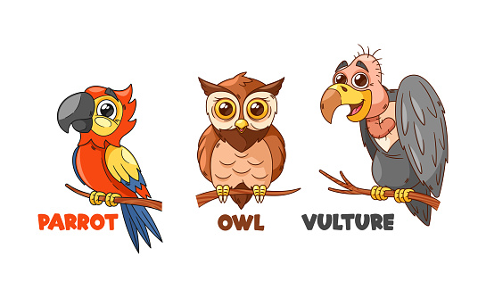 Colorful Cartoon Parrot With Vibrant Feathers, Wise And Scholarly Owl, And A Mischievous Vulture With A Sly Grin Create A Lively And Diverse Trio Of Characters. Cartoon Vector Personages Illustration