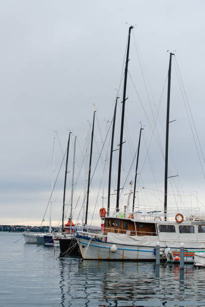Piran marina in the Slovenia