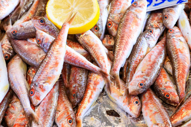 istock Barbunya Mullus barbatus fish on the shelf with lemon 1950131344