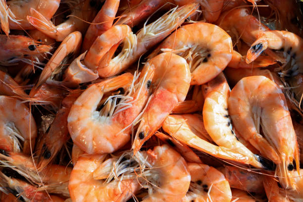 istock Shrimps on the bazaar shelf 1950131357