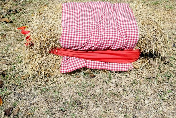 Red and white checkered tablecloth on a hay bale in the cafe.