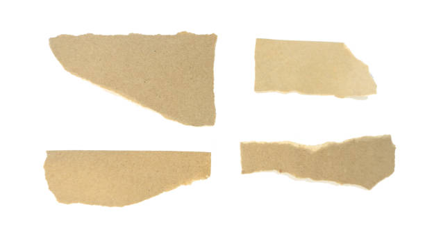 istock Recycled paper craft stick on a white background 1950188002