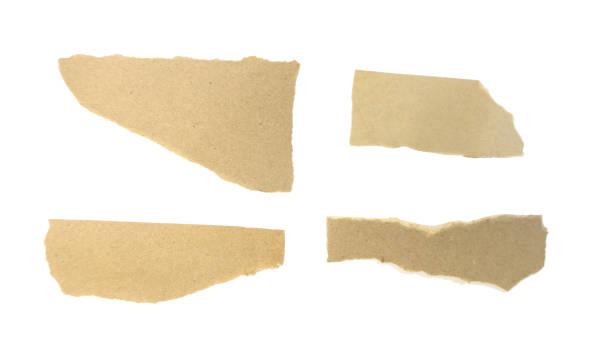 istock Recycled paper craft stick on a white background 1950188011