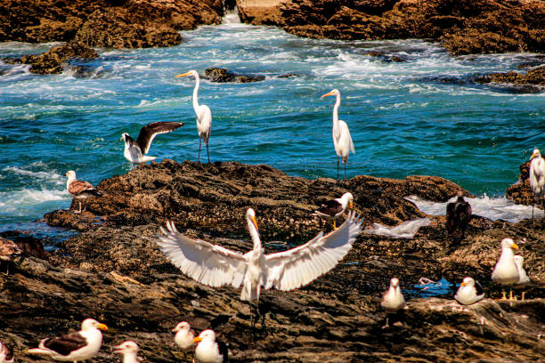 Fort Beach - Cabo Frio