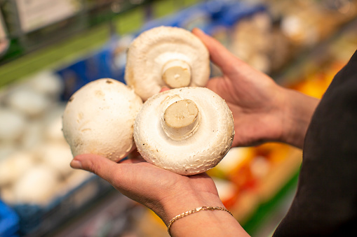 Hands hold large champignons against the background of a blurred store window.
