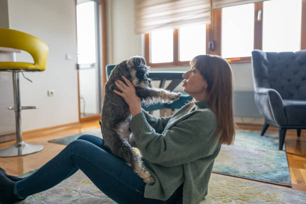 istock Woman having fun with her dog at home 1950226569