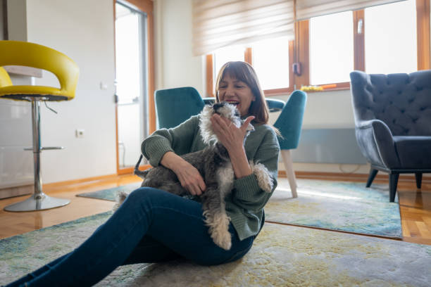 istock Woman having fun with her dog at home 1950227661