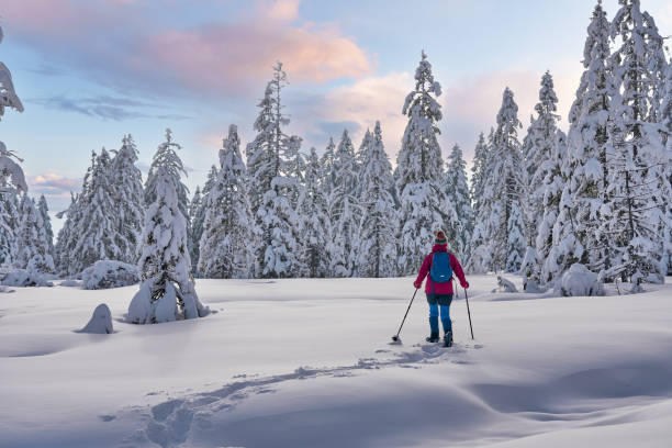 istock woman with snowshoes in the Bregenz Forest, Austrian Alps 1950240744
