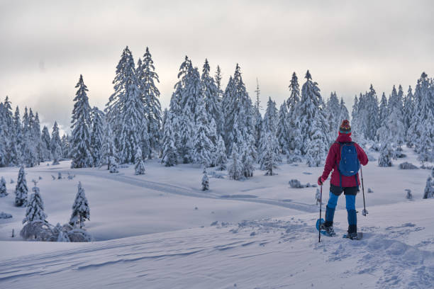 istock woman with snowshoes in the Bregenz Forest, Austrian Alps 1950242457