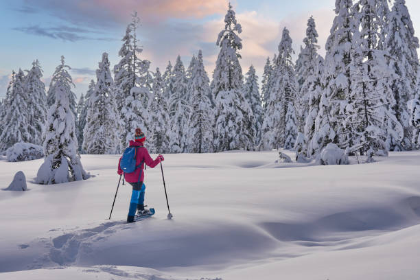 istock woman with snowshoes in the Bregenz Forest, Austrian Alps 1950243415