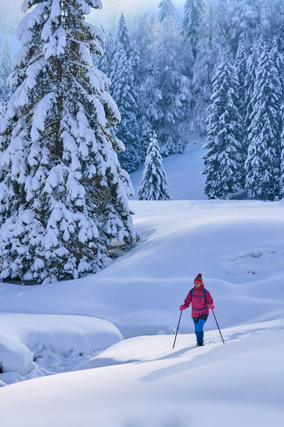 istock woman with snowshoes in the Bregenz Forest, Austrian Alps 1950246685
