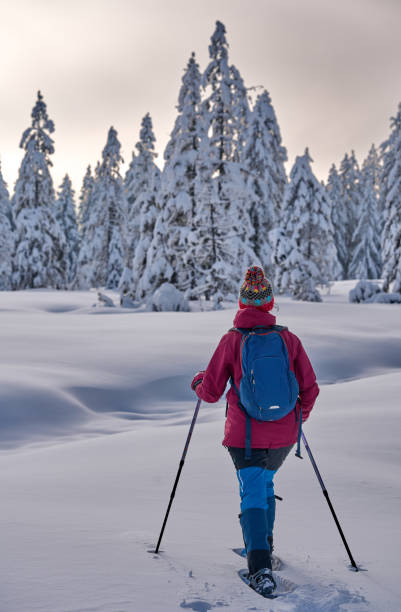 istock woman with snowshoes in the Bregenz Forest, Austrian Alps 1950248264