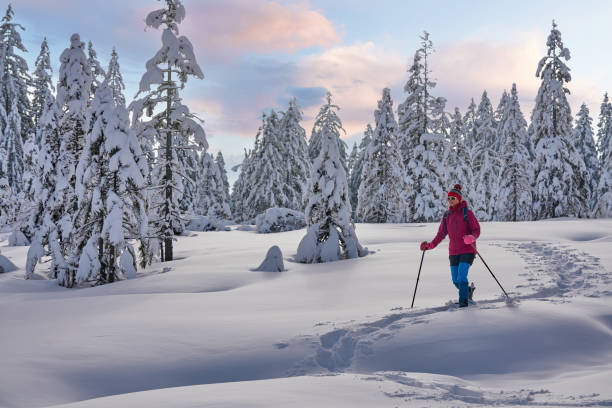 istock woman with snowshoes in the Bregenz Forest, Austrian Alps 1950249327