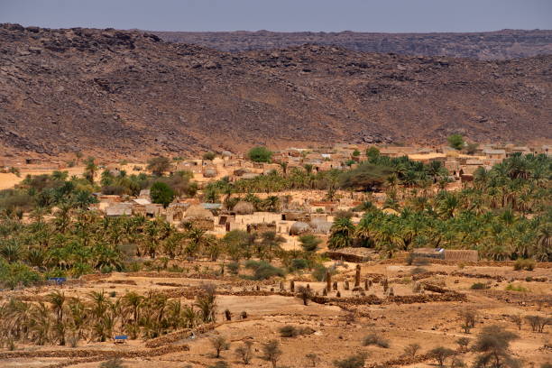 istock Oases of the Sahara Desert 1950253018