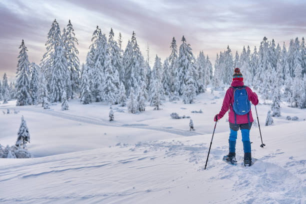 istock woman with snowshoes in the Bregenz Forest, Austrian Alps 1950253032