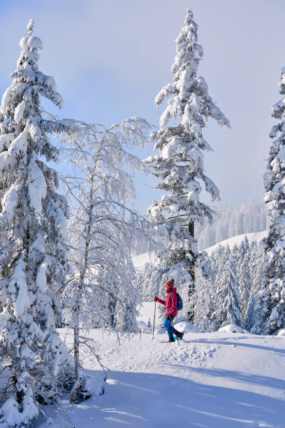 istock woman with snowshoes in the Bregenz Forest, Austrian Alps 1950257758
