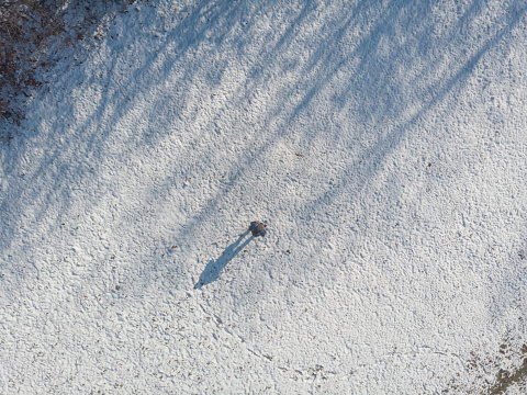 Man with backpack hiking on sunny day in winter. Aerial view.