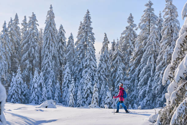 istock woman with snowshoes in the Bregenz Forest, Austrian Alps 1950263534