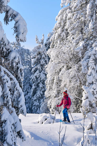 istock woman with snowshoes in the Bregenz Forest, Austrian Alps 1950272887
