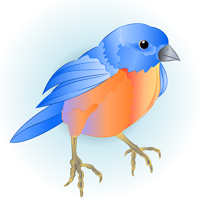 Bluebird small bird thrush  on a blue background   watercolor vintage  vector illustration editable hand draw