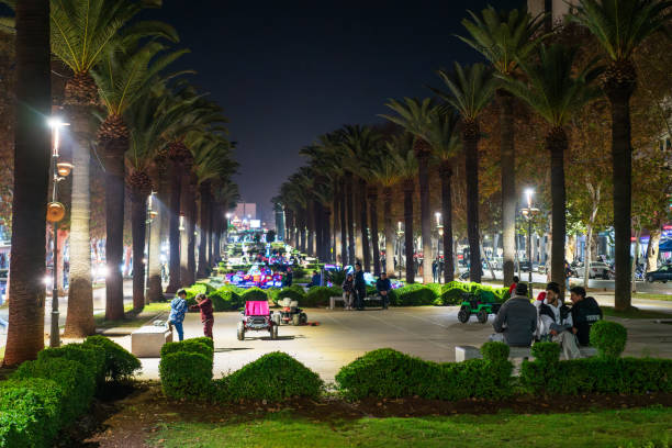 Fez, Morocco - January 01, 2024:  Avenue Hassan II Garden at night