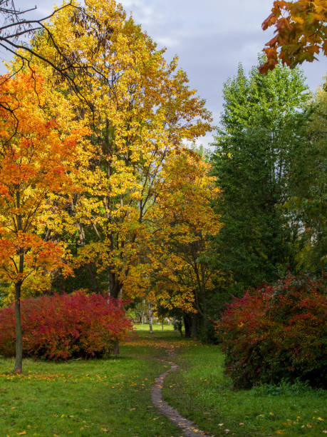 istock Autumn park alley bench autumn landscape 1950276019
