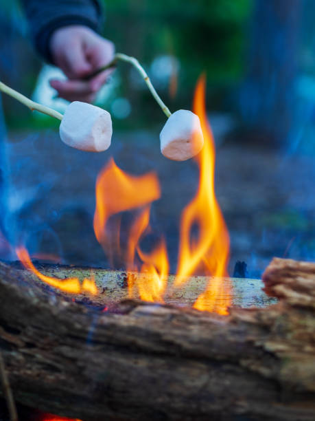 istock Marshmallow on skewers is fried at the stake 1950283484