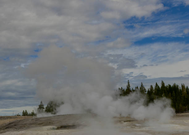 Lower Geyser Basin, Yellowstone National Park, Wyoming USA: Jelly Geyser, located in the Fountain Paint Pot area of Yellowstone National Park's Lower Geyser Basin as part of the Fountain Group, is a fountain-type geyser erupting from one of the largest craters in the area, typically appearing as a calm blue pool between eruptions but noted for its orange, bacteria-lined edges due to thermophilic microorganisms. With an average temperature of 196.7°F (91.5°C), pH of 8.6, the geyser's activity stems from constrictions in its underground plumbing that trap steam, leading to intermittent bursts; eruption intervals range from 10 to 90 minutes or more, with durations of seconds to 2 minutes. Sometimes referred to as Jelly Spring due to its variable frequency, it has been influenced by past seismic events like the 1959 Hebgen Lake earthquake.