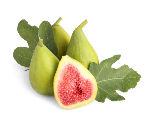 istock Cut and whole green figs with leaves isolated on white 1950291996