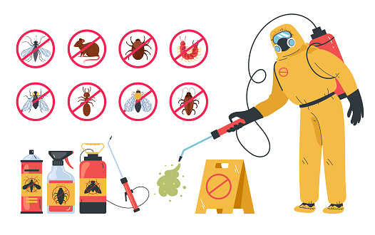 Pest control insect service disinfection poison isolated set. Vector flat graphic design