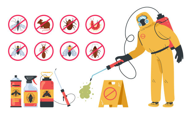 Pest control insect service disinfection poison isolated set. Vector flat graphic design illustration Pest control insect service disinfection poison isolated set. Vector flat graphic design insecticide stock illustrations