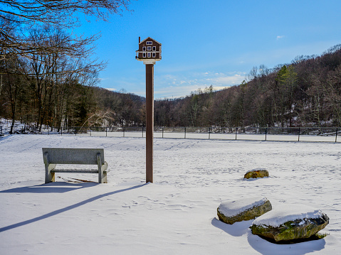 Snow on the forest hill with a birdhouse on the pole, an empty bench, and rocks, winter landscape at Tarrywile Park in Danbury, Connecticut, USA