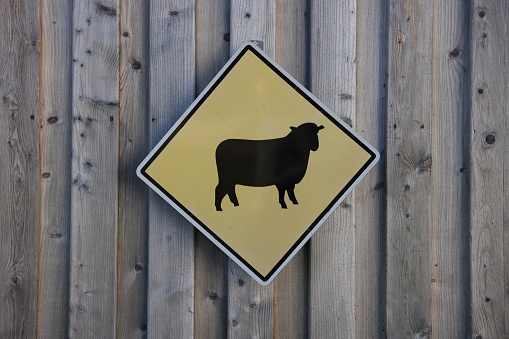 Sign with picture of sheep on wooden wall. Farm animal